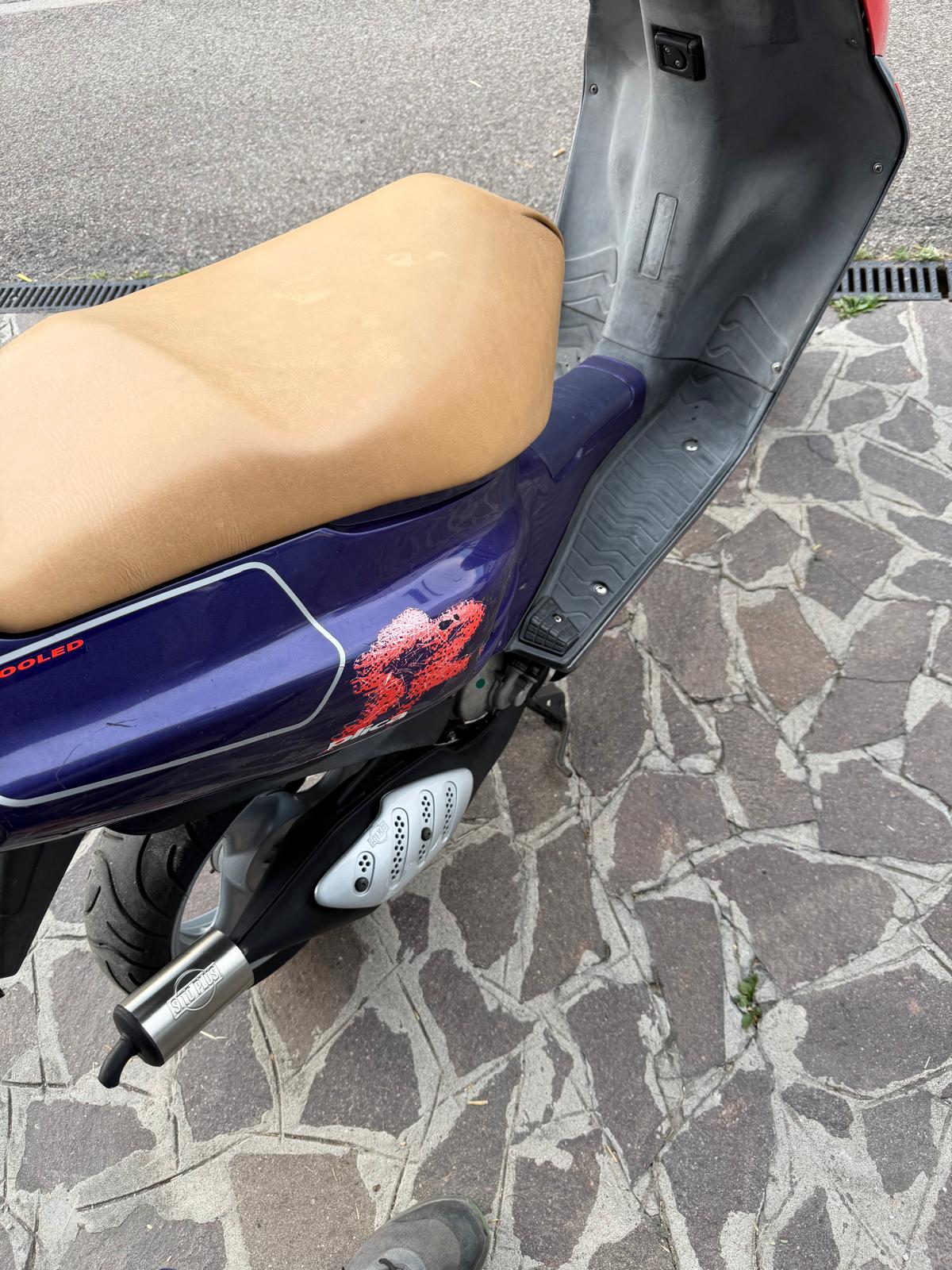 Aprilia SR Replica Loris Reggiani 1995 - immagine 4